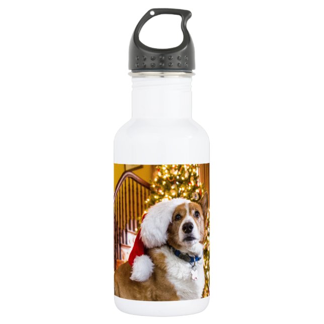 Christmas Corgi 532 Ml Water Bottle (Front)