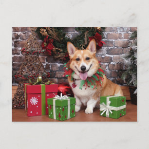 Christmas - Corgi - Cal Holiday Postcard