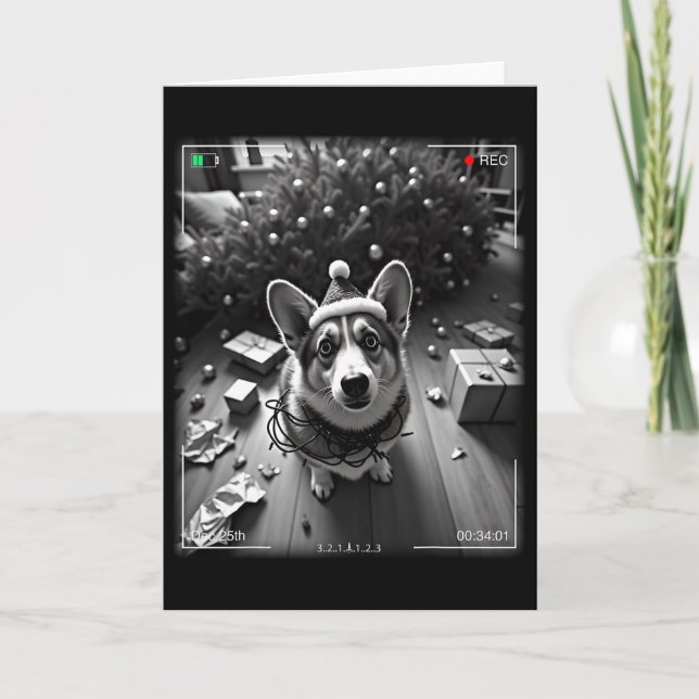 Christmas Corgi Caught On Camera  Card (Front)