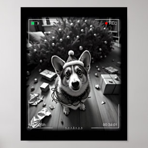 Christmas Corgi Caught On Camera Poster
