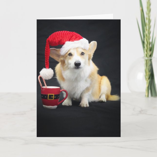 Christmas Corgi in Cap with Cup and Candy Cane Card (Front)