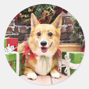 Christmas - Corgi - Pancake Classic Round Sticker