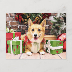 Christmas - Corgi - Pancake Holiday Postcard