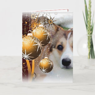 Christmas Corgi Sable Holiday Card