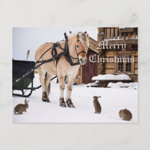 Christmas country farm idyll animal talk friends holiday postcard