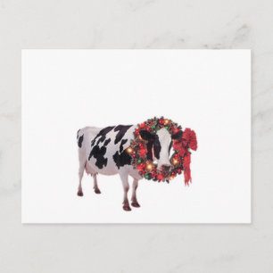 Christmas Cow Postcard Template
