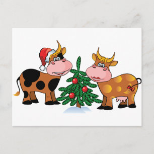 Christmas Cows Holiday Postcard