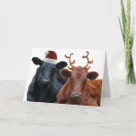 Christmas Cows in Santa Hat and Antlers Holiday Card<br><div class="desc">This dairy cow couple is all dressed up for the holiday season, and ready to pull Santa's sleigh on Christmas eve! A black steer wearing a red santa hat, and a brown coloured cow, wearing a pair of costume fuzzy antlers. Funny cow pun saying inside wishes family and friends a...</div>