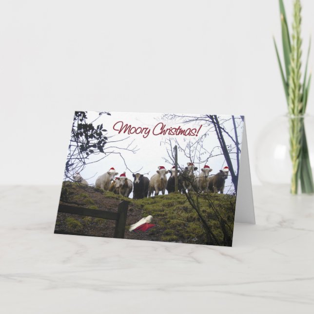 Christmas cows wearing Santa hats. Holiday Card (Front)