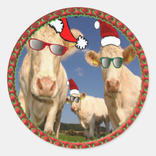 Christmas cows with glasses on and red Santa hats Classic Round Sticker