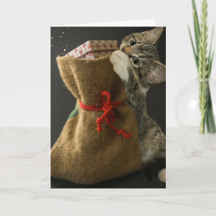  CHRISTMAS CUTE CAT SURPRISES Greeting Card