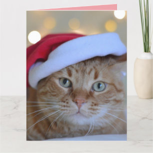 CHRISTMAS CUTE GINGER CAT GREETING CARD