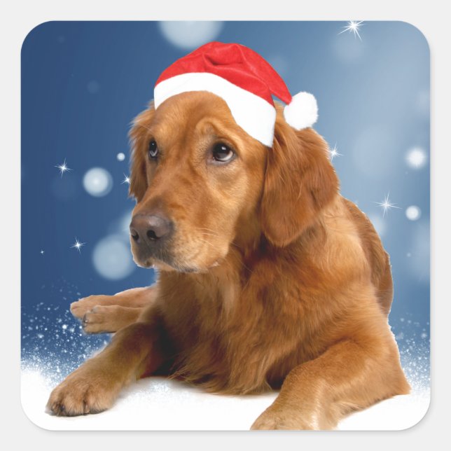 Christmas Cute Golden Retriever Dog Santa Hat Snow Square Sticker (Front)