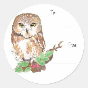 Christmas  Cute Owl Gift Tag Sticker