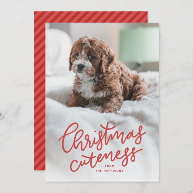 Christmas cuteness cute pet holiday card (Front/Back)