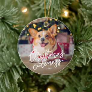 Christmas cuteness cute pet holiday ornament