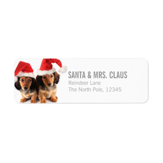 Christmas Dachshund Puppies Wearing Santa Hats Return Address Label