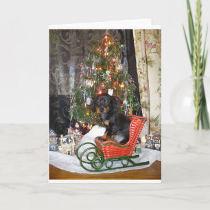 Christmas Dachshund Style Holiday Card
