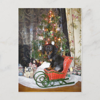 Christmas Dachshund Style Holiday Postcard