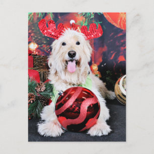Christmas - Daisy - Goldendoodle Holiday Postcard