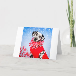 Christmas Dalmatian Holiday Card