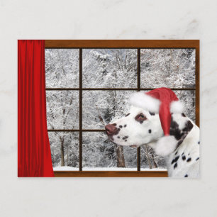 Christmas dalmatian holiday postcard