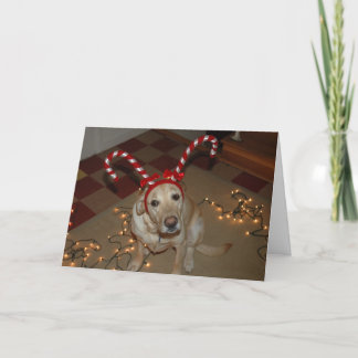 Christmas de-light! holiday card