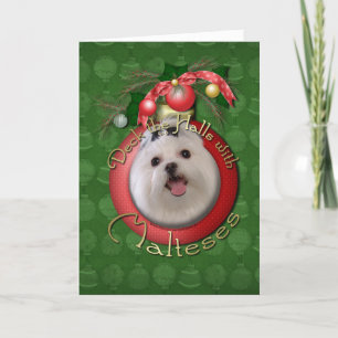 Christmas - Deck the Halls - Maltese Holiday Card