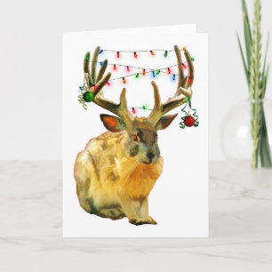 Christmas Decorated Jackalope Holiday Card