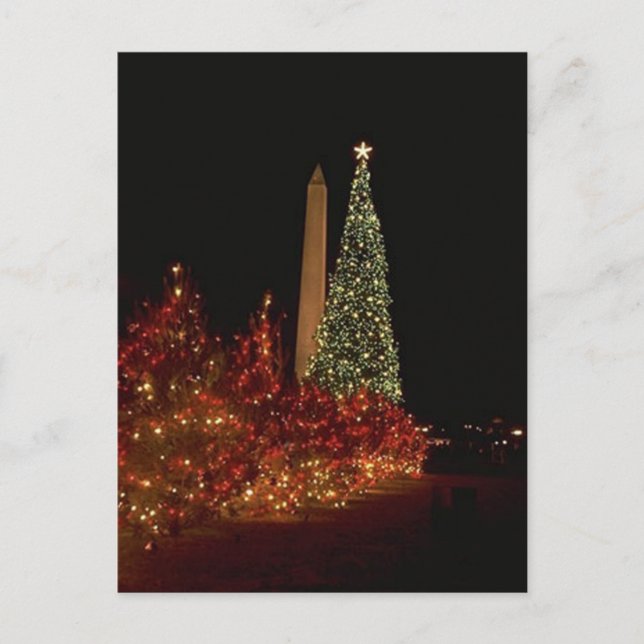 Christmas decorations on the Washington DC  Mall Holiday Postcard (Front)