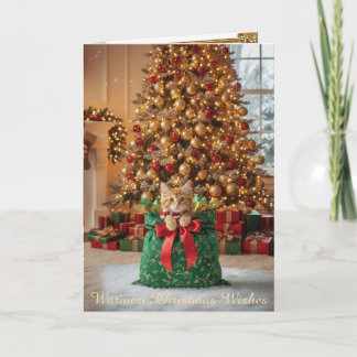 Christmas Decorative Card
