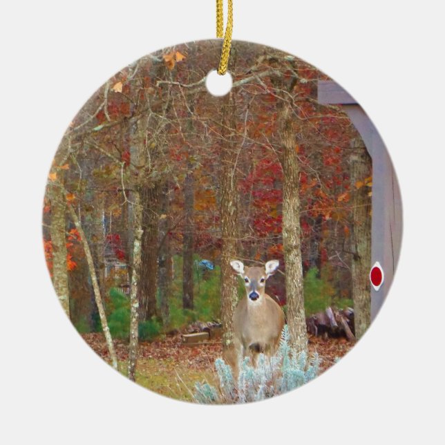 Christmas Deer Ceramic Tree Decoration (Front)