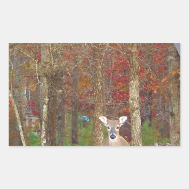 Christmas Deer Rectangular Sticker (Front)