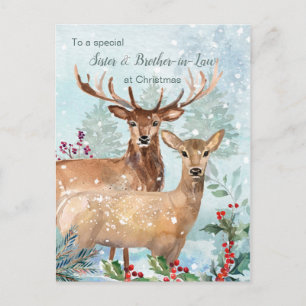 Christmas, deer, Sister & Brother in Law Postcard
