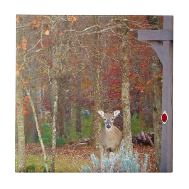 Christmas Deer Tile (Front)