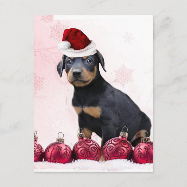 Christmas Doberman puppy Holiday Postcard (Front)
