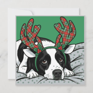 Christmas Dog Card