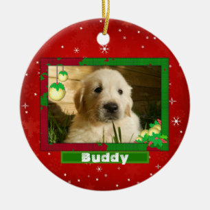 Christmas Dog Cat Photo Pet Name Cute Red Ceramic Ornament