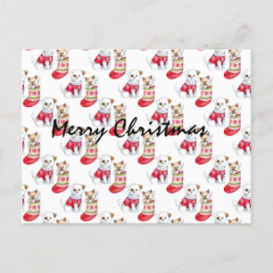 Christmas Dog & Cat Stockings Postcard