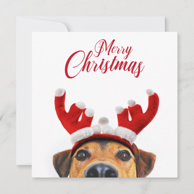Christmas Dog Cute Funny Reindeer Antler Headband Invitation (Front)