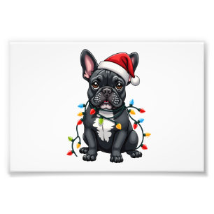 Christmas Dog French Bulldog Xmas Frenchie Photo Print