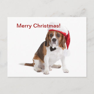 Christmas dog holiday postcard