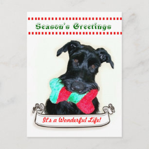 Christmas Dog It's a Wonderful Life Holiday Postcard