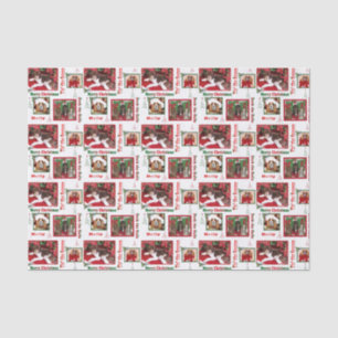Christmas Dog Lovers King Charles And Doodle Tissue Paper