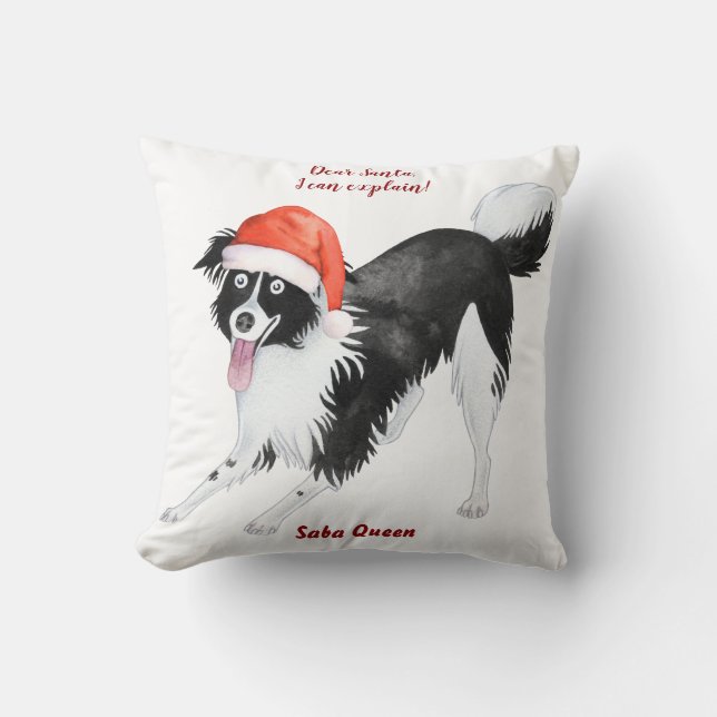 Christmas Dog Photo Dear Santa I can explain Cushion (Front)