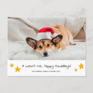 Christmas Dog Photograph Postcard