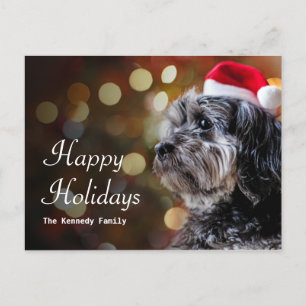 Christmas Dog Waiting For Santa Holiday Postcard