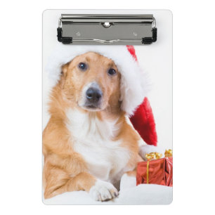 Christmas dog with antler and colourful gifts mini clipboard