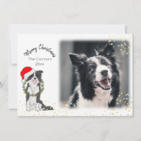 Christmas Dog with Photo Border Collie