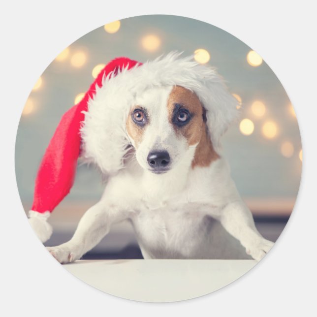CHRISTMAS DOG WITH Santa hat Sticker (Front)